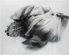 洪德忠 - 態系列 10