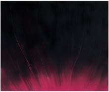 洪德忠 - 態系列25-2