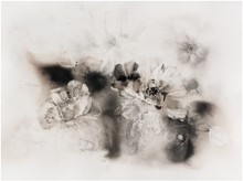 洪德忠 - 花韻-5