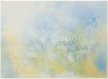 洪德忠 - 孤挺花