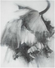 洪德忠 - 態系列 6