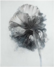 洪德忠 - 態系列 7