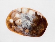 洪德忠 - 石我 5