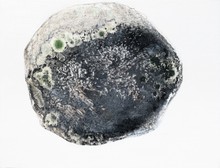 洪德忠 - 石我 3