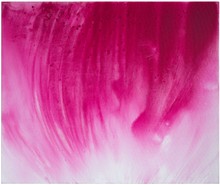 洪德忠 - 態系列25-1